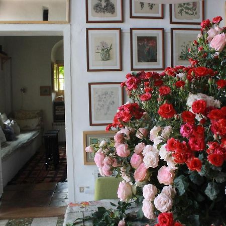 Beit Douma Bed & Breakfast Exterior foto